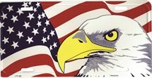 PLAQUE AIGLE USA- 8858