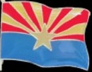 PINS ARIZONA