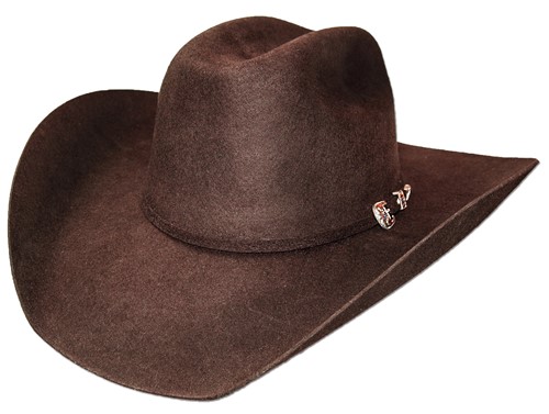 Chapeau Cowboy WYOMING Marron